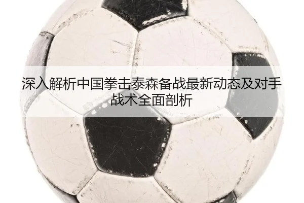 深入解析中国拳击泰森备战最新动态及对手战术全面剖析